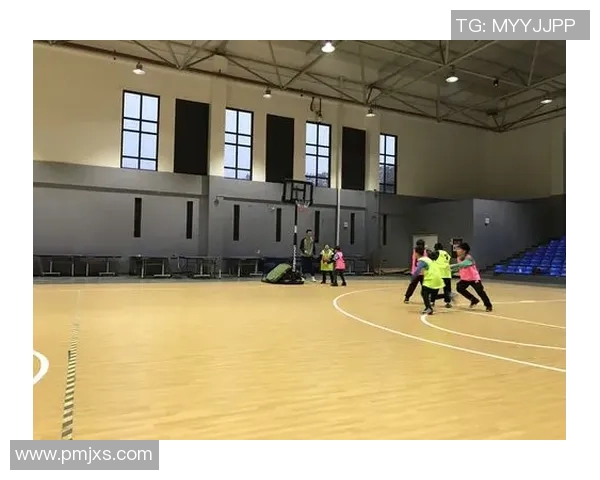 深度对话：张强分享他的篮球梦想与奋斗历程