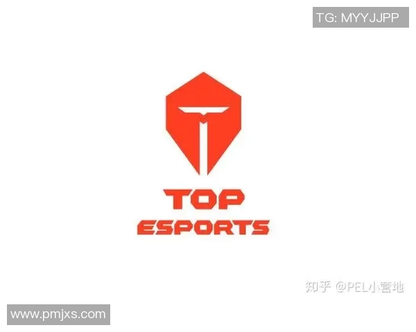 深入分析TES战队包夹战术的成功秘诀与应用场景 深入分析TES战队包夹战术的成功秘诀与应用场景