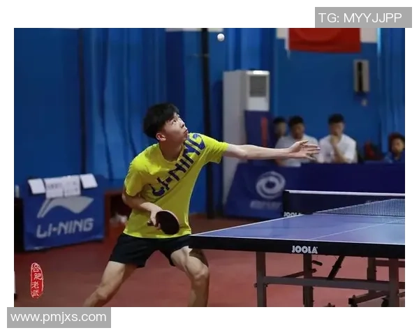 西安乒乓球队的比赛经验分享与成长之路探讨