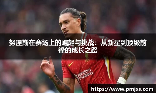 努涅斯在赛场上的崛起与挑战：从新星到顶级前锋的成长之路